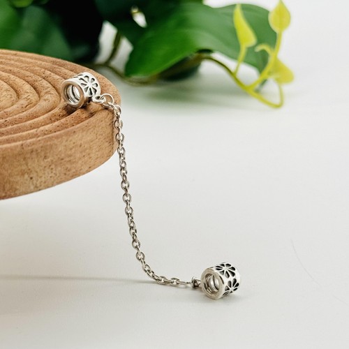 Charm pandora chaîne - charm,