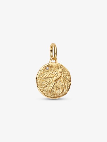 Charm pandora medallion - charm,