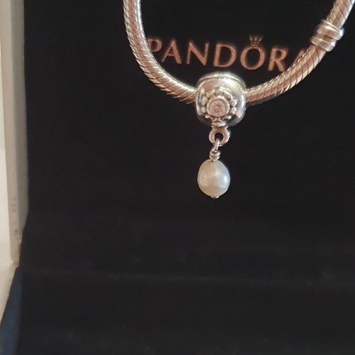 Pandora charm ciondolo - charm,