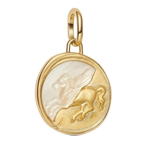 Pandora charm ciondolo - charm,